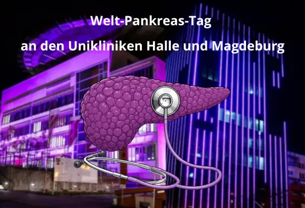 19.11.2026: Welt-Pankreas-Tag an den Unikliniken Halle & Magdeburg